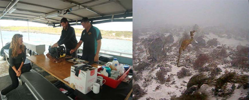 Scripps Oceanography researchers prepare a miniROV during expedition in search of the ruby seadragon. (Image: Scripps Oceanography)